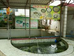 鱼池-鸿渡渔庄·特色鸭咀鱼