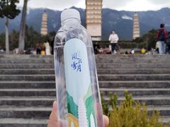 -崇圣寺三塔文化旅游区