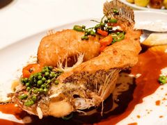 -侨美·唐荔园·40年地道粤菜