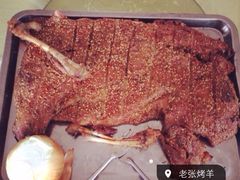 老张烤羊-老张烤羊(王哥庄店)