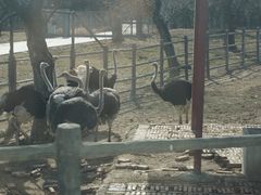 -西安秦岭野生动物园