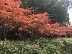 -南京市江宁方山