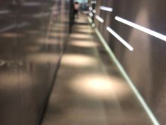 -威尔仕健身·游泳(KING88店)
