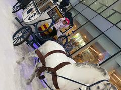 -世界之窗阿尔卑斯冰雪世界