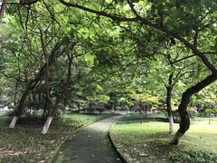 -四川大学(望江校区)
