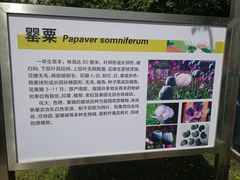 -北京植物园-展览温室