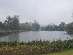-咸阳湖景区