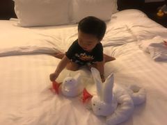 -三亚亚龙湾雅高铂尔曼别墅度假酒店