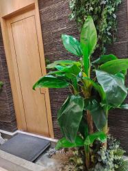 -芳朵美容养生SPA