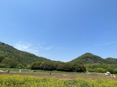 -八卦田遗址公园