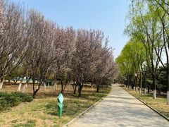 -青龙湖公园