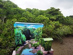 -东寨港红树林旅游区