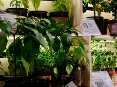-Olé精品超市(北京合生汇店)