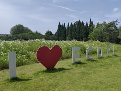 -华东政法大学(松江校区)