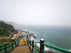 -广东惠东海龟国家级自然保护区