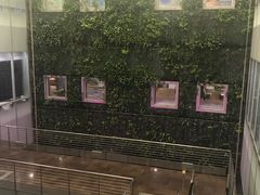 -西沃古尔·拉姆古兰爵士国际机场