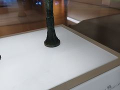 -信阳博物馆