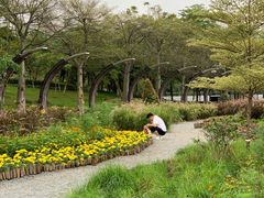 -映月湖公园
