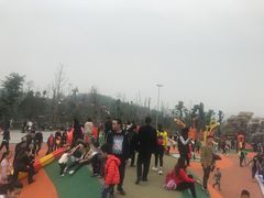 -枫香湖儿童公园