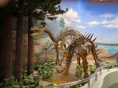 -延庆地质公园博物馆