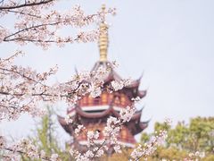 -鸡鸣寺