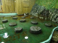 -上海大自然野生昆虫馆