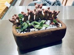 -WHEN PIGS FLY当猪飞