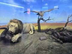 -国家自然博物馆