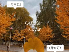 -长白岛森林公园