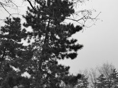 -汉长安城未央宫国家考古遗址公园