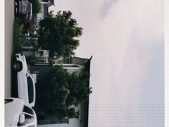 -桤木河湿地公园