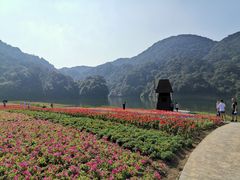 -广州市石门国家森林公园
