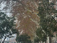 -甘棠公园