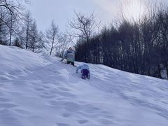 -五家山森林公园滑雪场