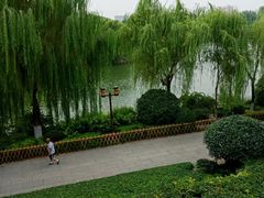 -鹊华居·地道鲁菜·海鲜·融合味(大明湖店)