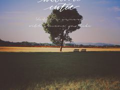 -山明水秀大饭店