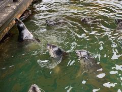 -华夏文旅海洋公园