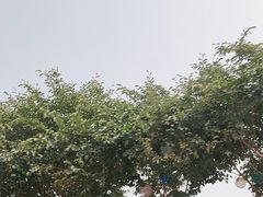 -高台民居