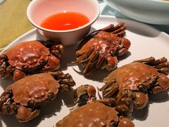 盘锦河蟹-小时候2013(瀚新店)