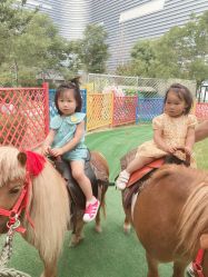 -萌宠亲子动物乐园(槐房万达店)