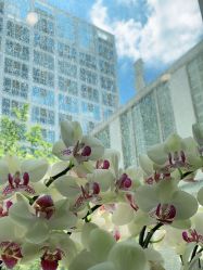 -变画·发型STUDIO