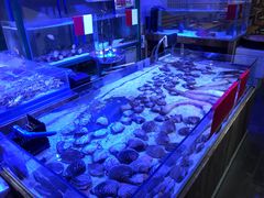 水产区-十六蒲(桂林路店)