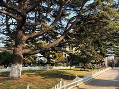 -青岛德国总督楼旧址博物馆