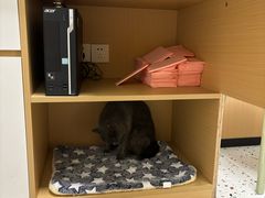 -瑞派康怡24h宠物医院·犬猫医疗中心·微创绝育(瑞景分院)
