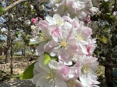 -元大都城垣遗址公园