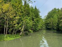 -桤木河湿地公园