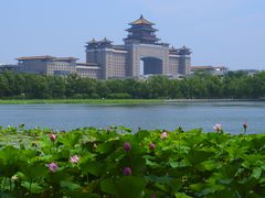 -莲花池公园