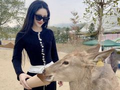 -盈香心动乐园