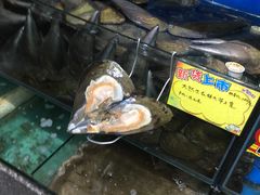 -蚝专家(北滘店)