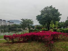 -飞来湖湿地公园